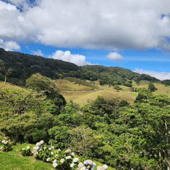 Pasted image 20251222145308_A97cfE4a.jpg